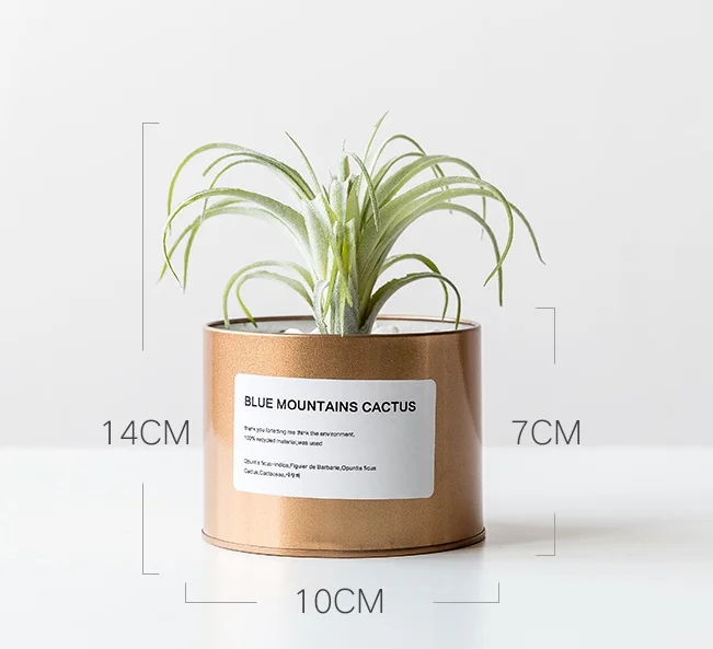 Wholesale Custom Empty Desktop Steel Small Metal Mini Metal Plant Cactus Pot