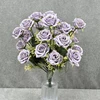 Viola chiaro