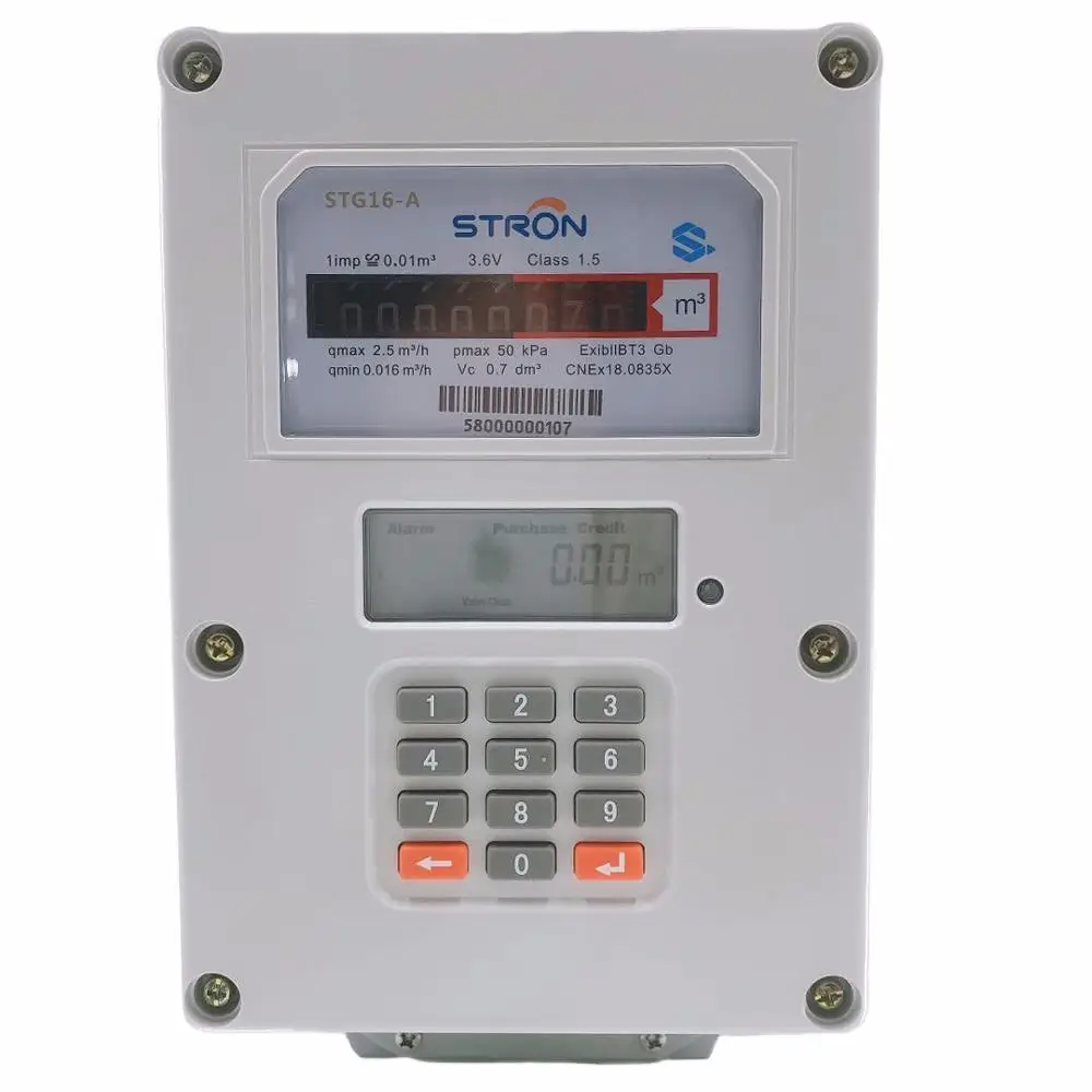STS keypad prepaid keypad gas meter with LORA-RF - Famidy.com