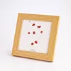 Aquarius - Red Jasper