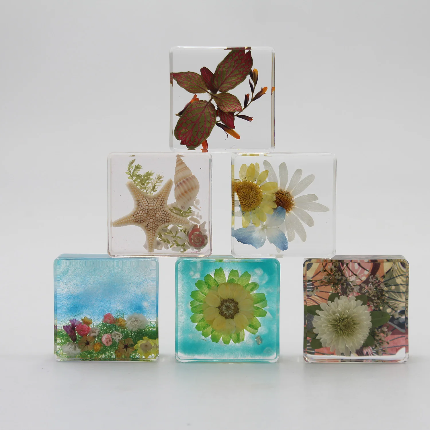 埋め込まれた貝殻貝殻標本樹脂の大きな貝殻| Alibaba.com