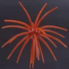 C004