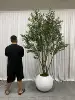 2.5M/8.20Ft; Con la pentola