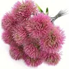 AL160-030-1 pink