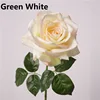 Verde Bianco