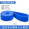 TPE blue (65-175lb) resistance band