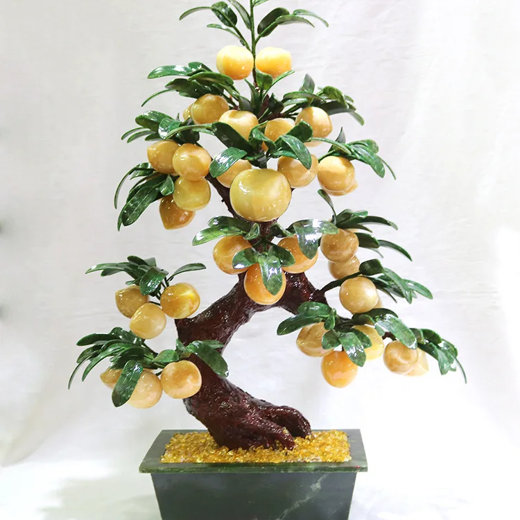 does bonsai tree grow Avergo Bonsai Starter Kit – Growing Jacaranda Bonzai Tree