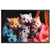 Three cats