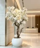 white flowers with white pots