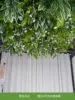 A few blossoms-1 unit