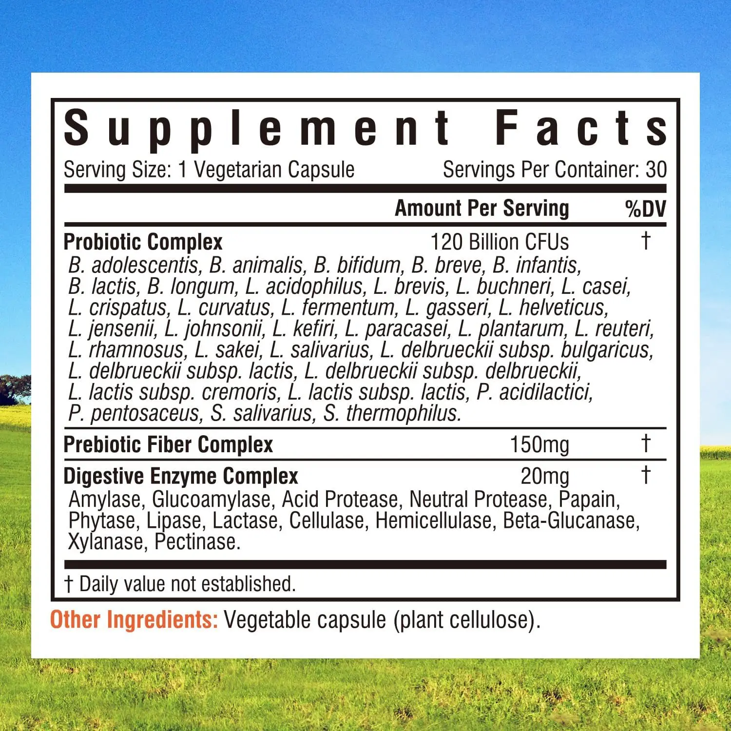 Oem Wholesale Of Probiotics 3-in-1 Probiotic Manufacturers - Buy ...