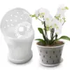 Vaso per orchidee trasparente a forma di goccia di pioggia