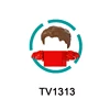 TV1313