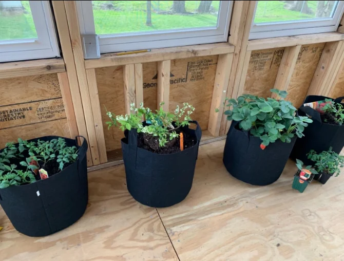 100 Gallon Planting Tree Bags Grow Planting Grow Bags Wholesale Online