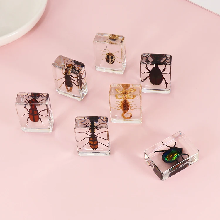 Custom Souvenirs Wholesale Child Gift Real Spider Scorpion Resin Craft Home Decoration