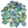 abalone