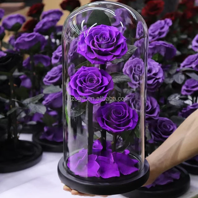 Wholesale Forever Everlasting Preserved Roses With Stem Preserved Roses Large Size Eternal Flower For Valentine's Day Gifts