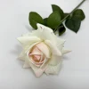 สีชมพู