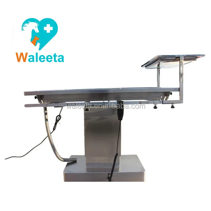 WT05(2)_.jpg