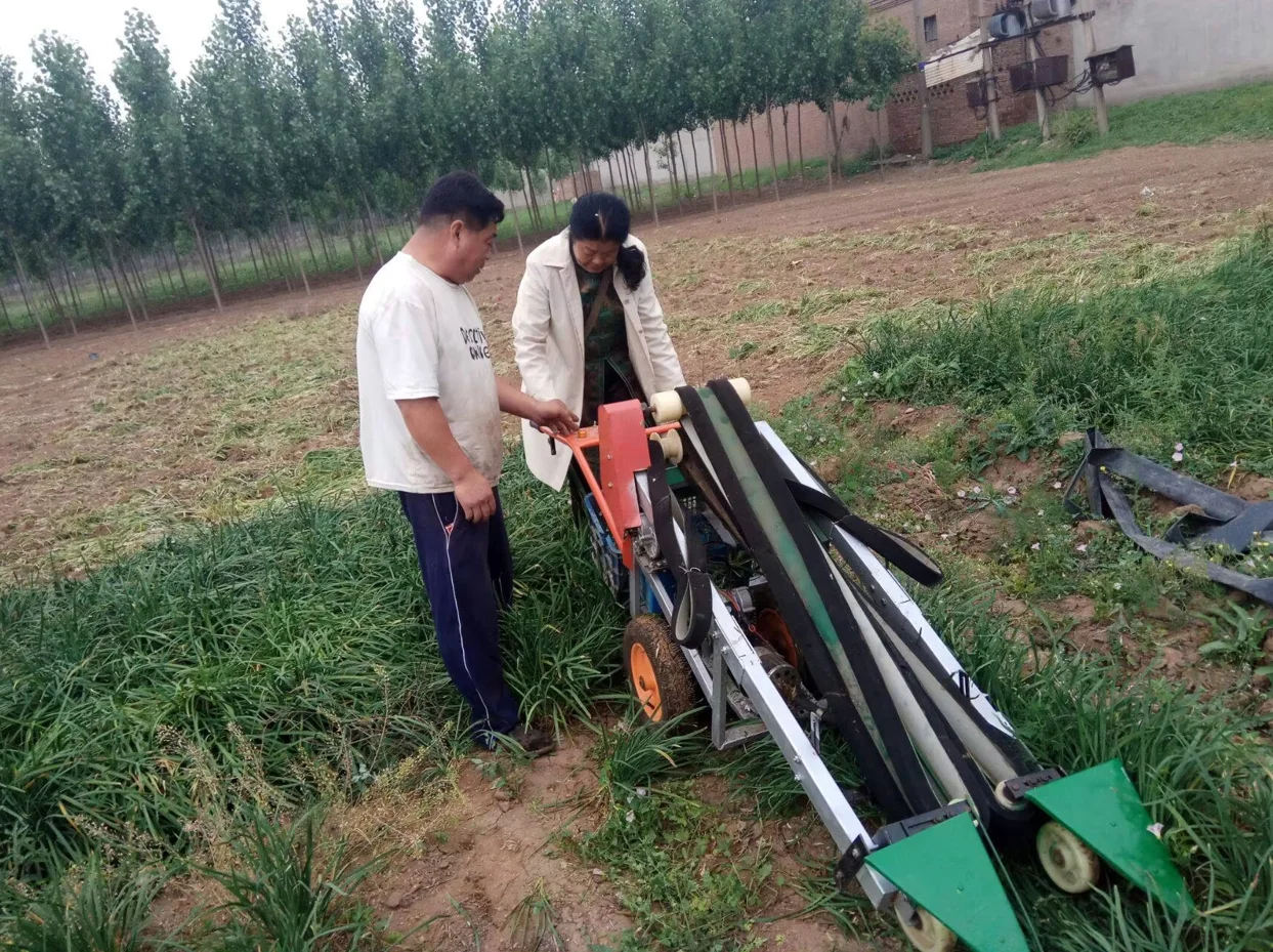Chinese Cabbage Spinach Harvester Machine /Gasoline Engine Chives Basil Harvester / Harvesing Machine for Coriander on Hot Sale