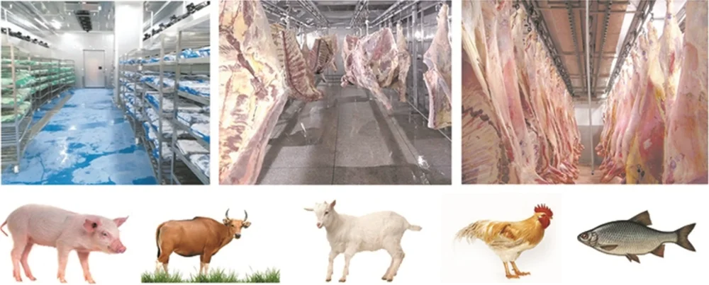Cold defrost chamber for frozen meat and beef products