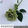 Single Manta Rose WY Green