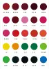 สีที่กำหนดเอง # 1