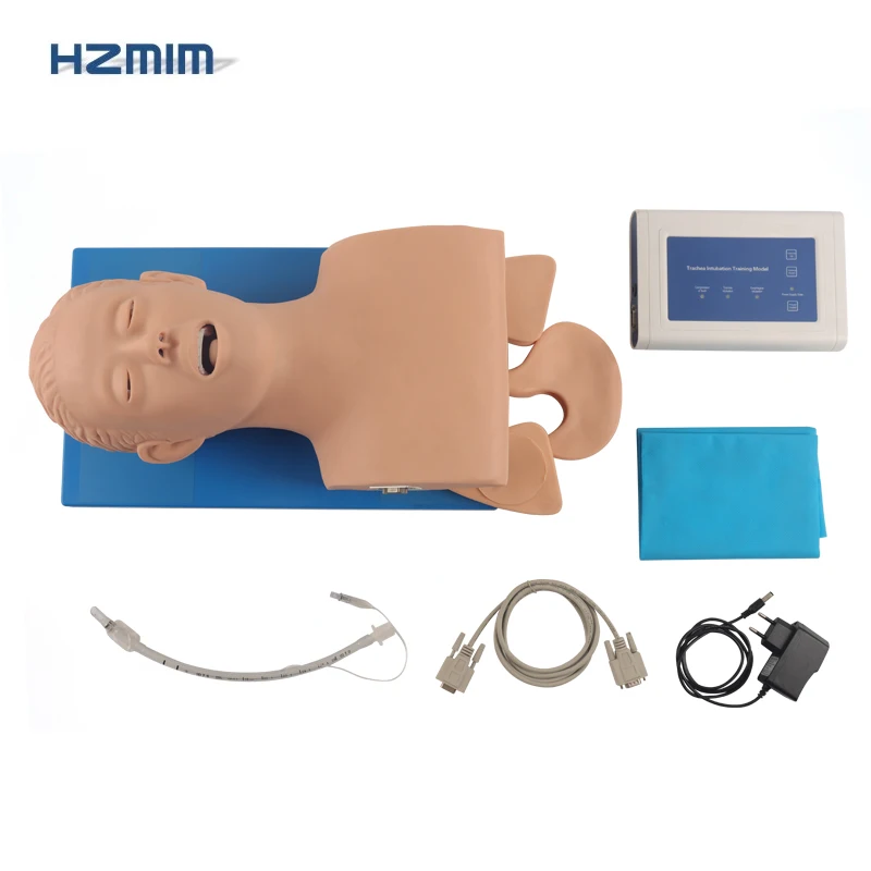 Adult Airway Trachea Intubation Model Adult Airway Intubation Manikin ...