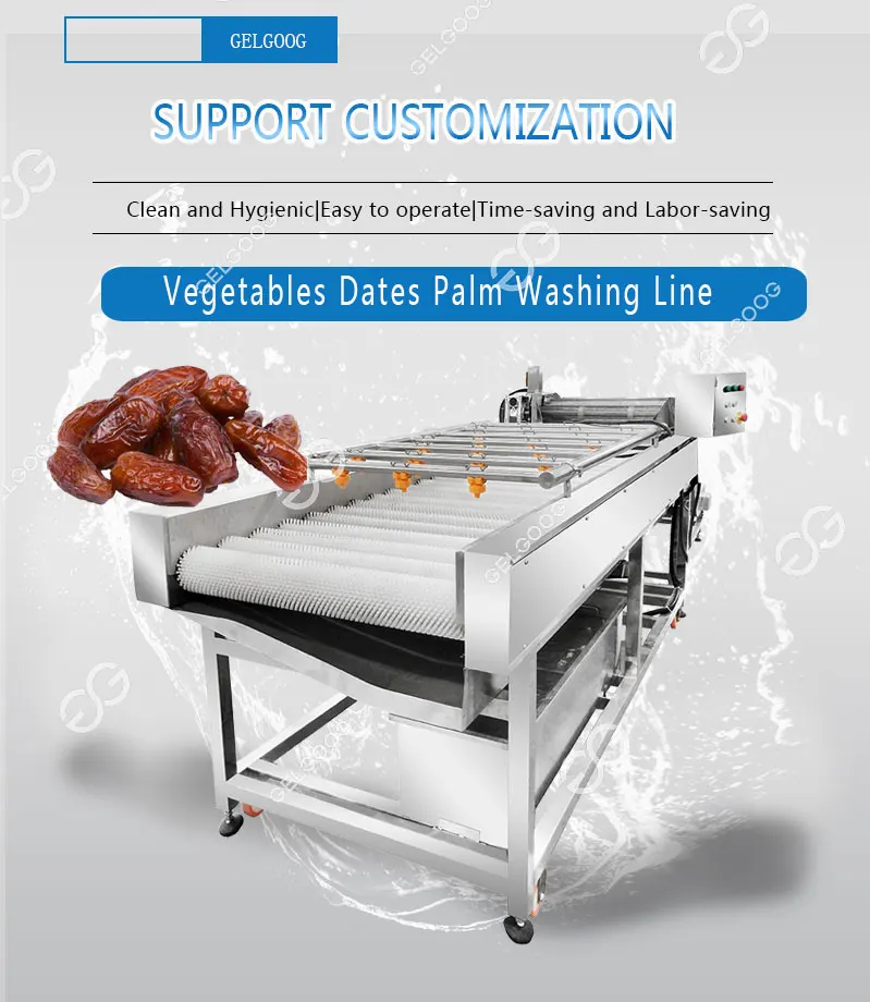 Automatic Dates Cleaning Line Fruit Sorting Equipment Date Washing and ...