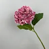 Rose red 182 film hydrangea