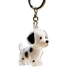 Chien blanc 8