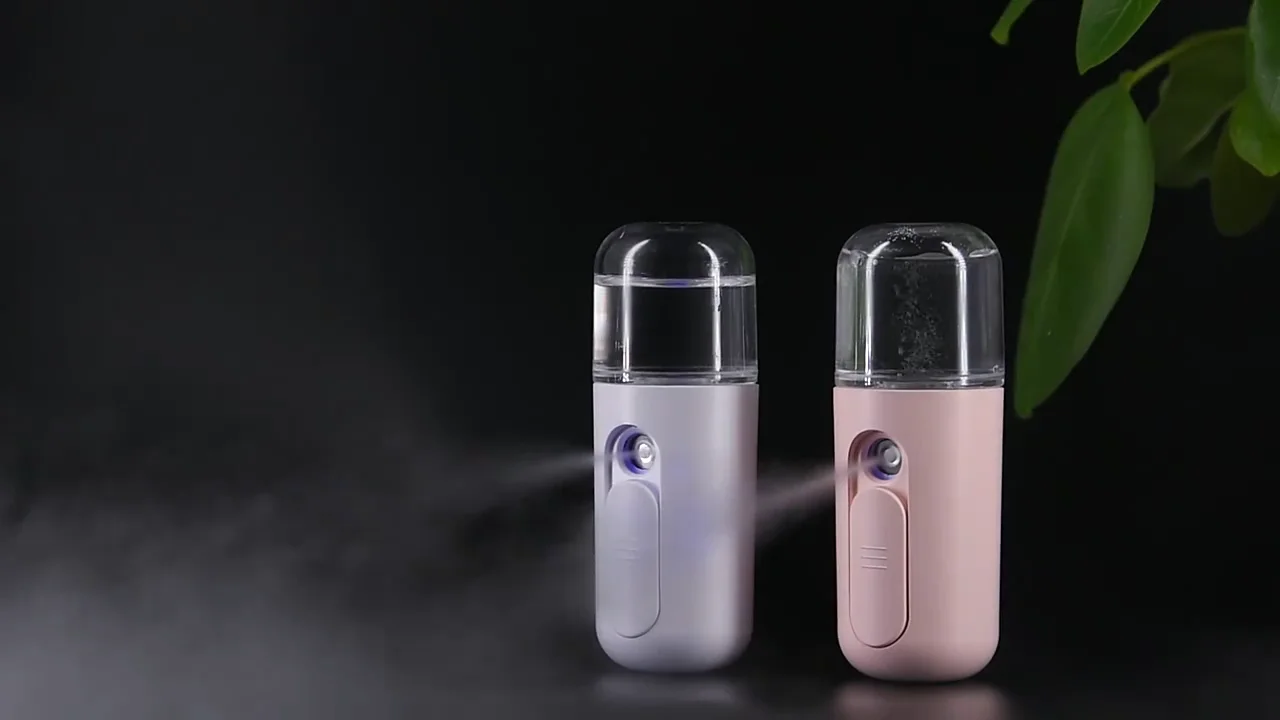 Handheld Mister Rechargeable Electric Facial Steamer Nano Handy Face