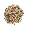Leopardite