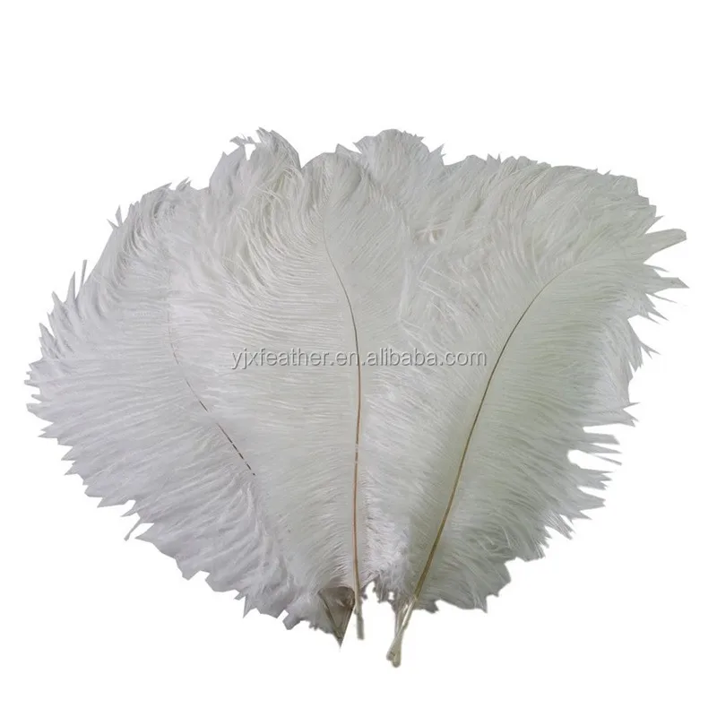 leakage Year surplus 45-50cm Wholesale Price Artificial White Ostrich Feathers For Wedding  Decoration - Buy Artificial Ostrich Feathers,Feathers Ostrich,White Ostrich  Feather Product on Alibaba.com