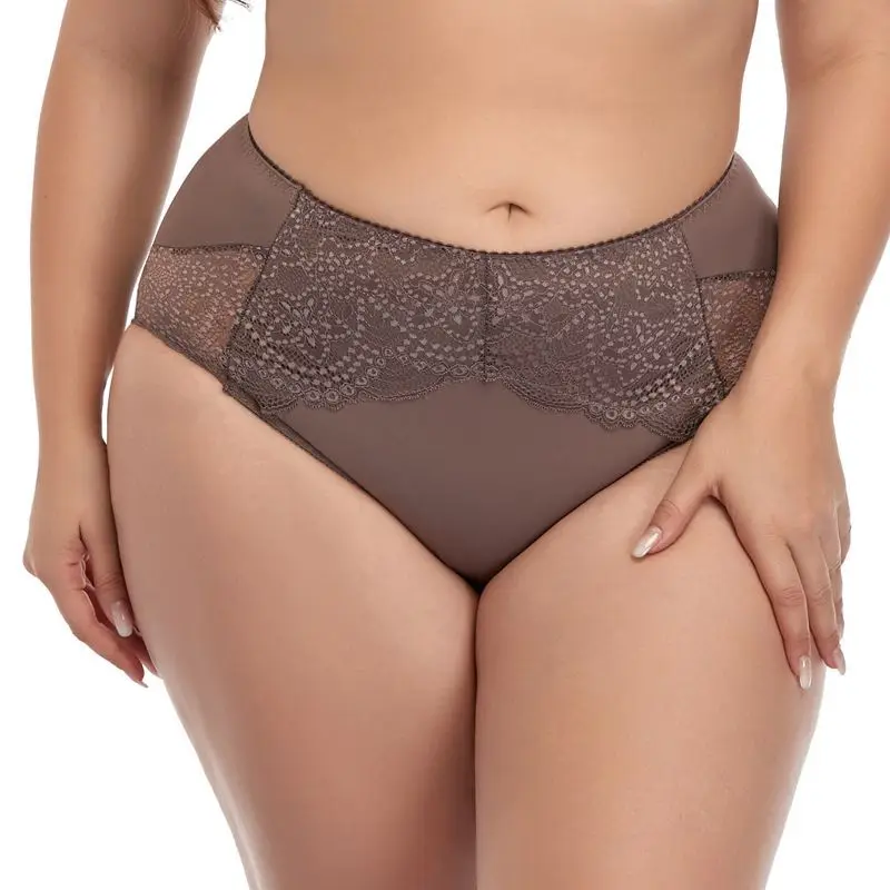 2021 Factory Custom High Waist Lace Panties Everyday Style XL-6XL Underwear for Plus Size Women and Moms