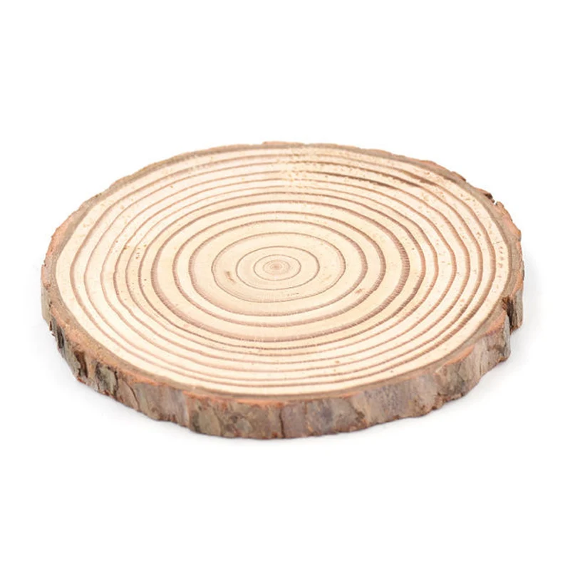 Fuhaieec 10pcs 3.5-4 Unfinished Natural Wood Slices Circles with Tree Bark Log Discs for DIY Craft Rustic Wedding Ornaments 