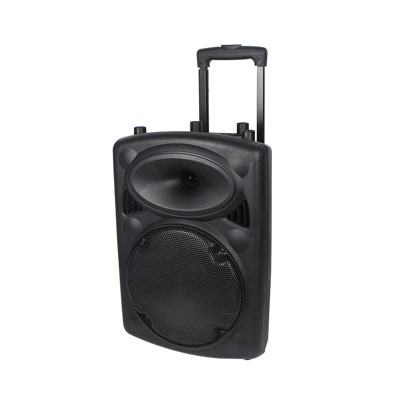 10 Inch Multi Media Wireless Trolly Speaker Dj Portable Trolley Speaker System With Replaceable Battery