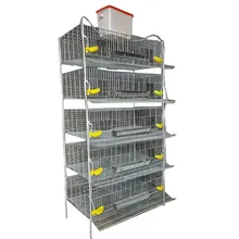 Battery cages for poultry chicken layer chicken cages egg layer poultry farms