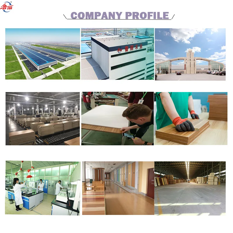 COMPANY PROFILE- 1.jpg