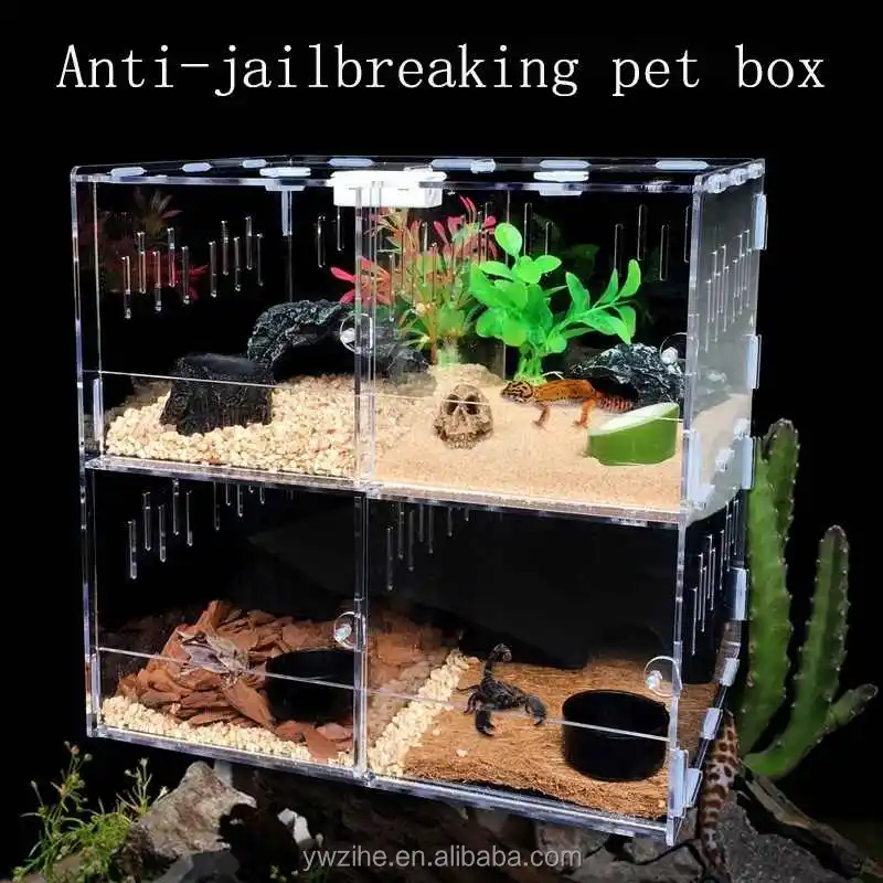 Spider Reptile Insect Feeding Box Reptile Breeding Box Terrarium