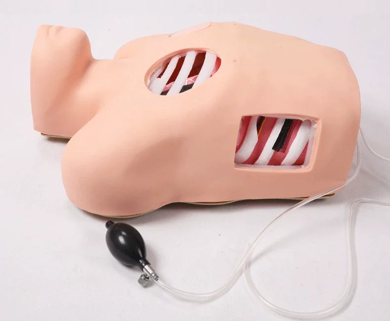 Human Pathological Anatomy Model Thoracic Pleural Drainage for Medical Science Teaching for Nurse Training and School Use
