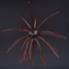 C008