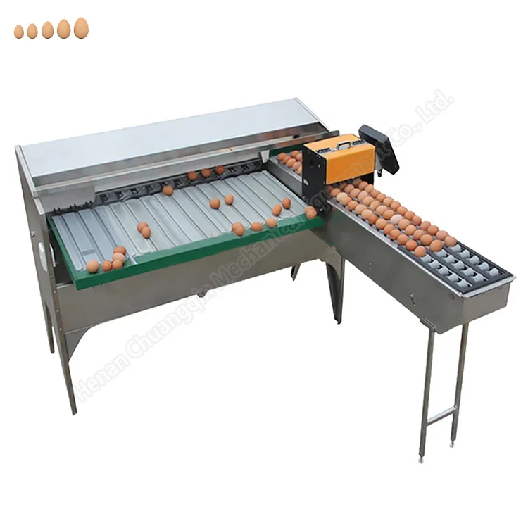 egg washing and grading machine