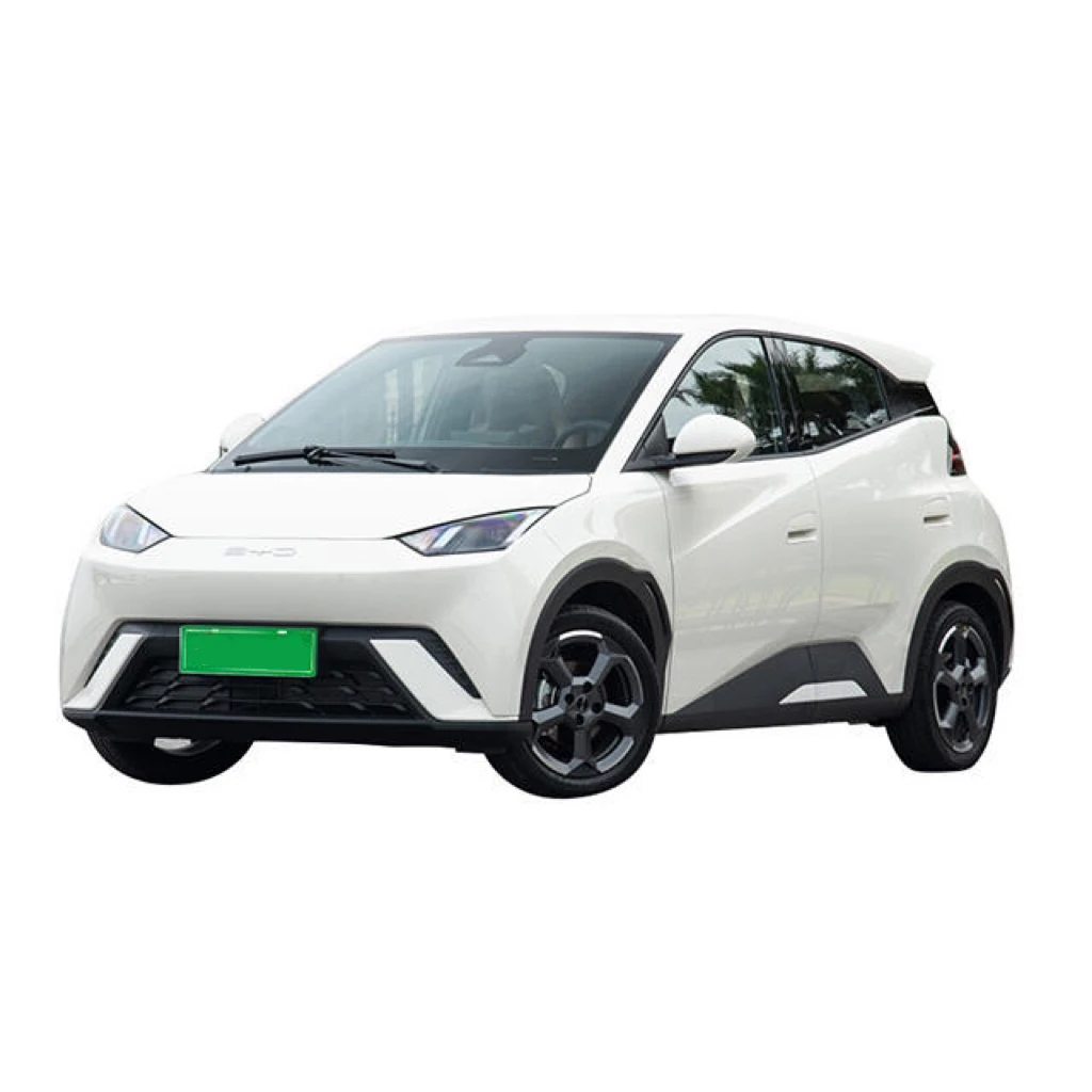 Wholesale Electric Cars 5door 4seat New Energy Car Pure Electric Car