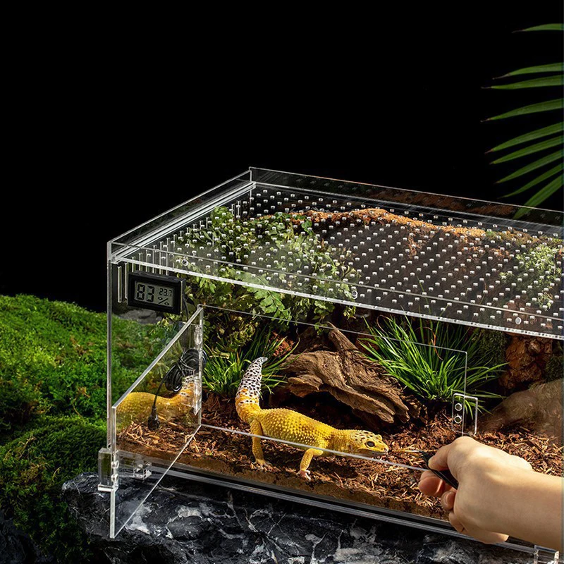 Custom Reptilian Box  Reptile Cage Snake Chameleon Reptiles Terrarium 40 Gallon Large Acrylic Reptile Enclosure