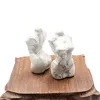 Howlite