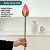 capullo rosa oscuro