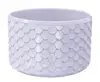 Light Chameleon-9341c-Aster
