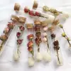 Fiori secchi 2