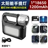 Modèle standard (batterie 1200 mAh)